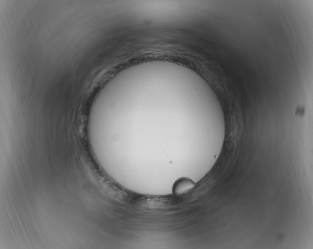 X0000111020758200906191230