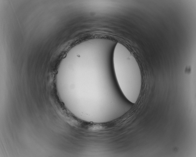 X0000111020759200906191230