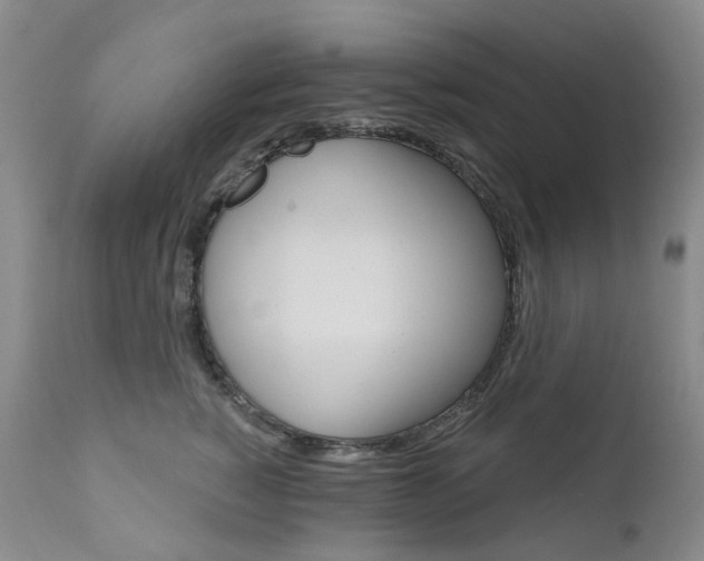 X0000111020760200906191230
