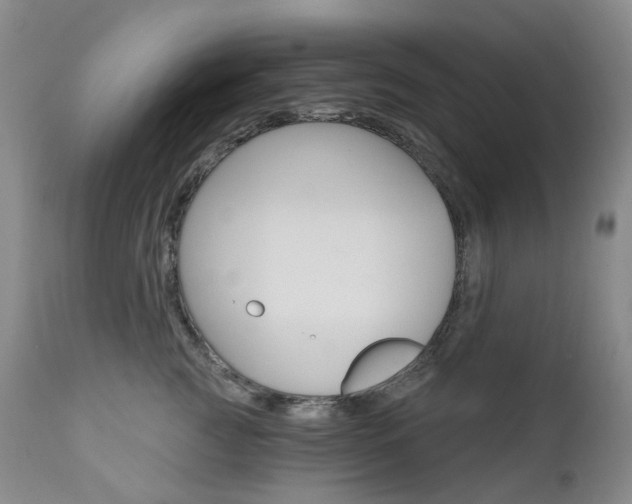 X0000111020761200906191230