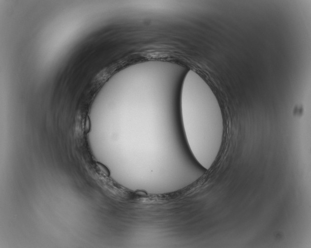 X0000111020763200906191230