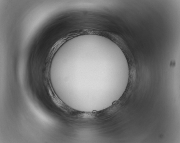 X0000111020765200906191230
