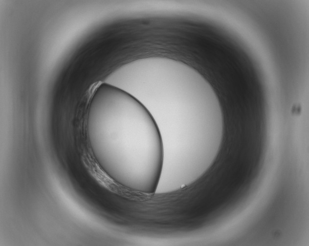 X0000111020766200906191230
