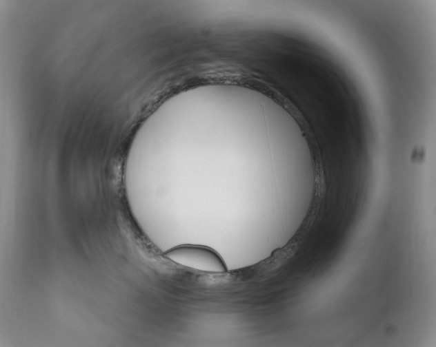 X0000111020767200906191230