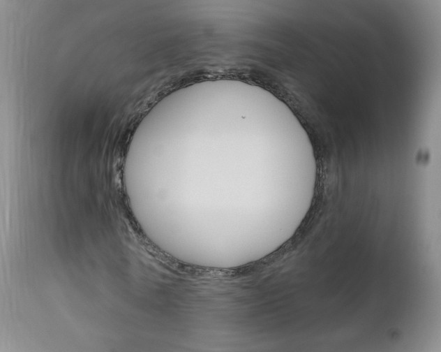 X0000111020770200906191229