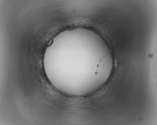 X0000111020771200906191229
