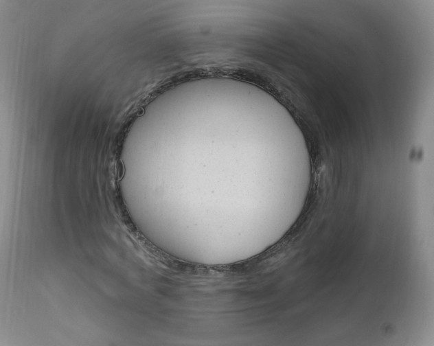 X0000111020772200906191229