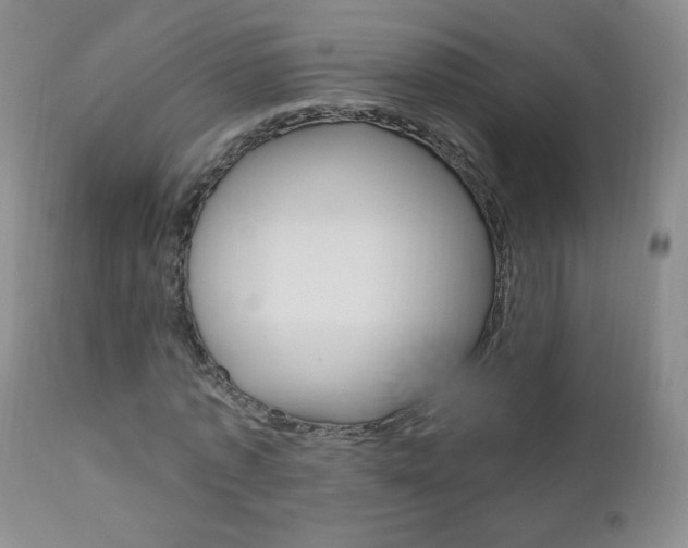 X0000111020773200906191229