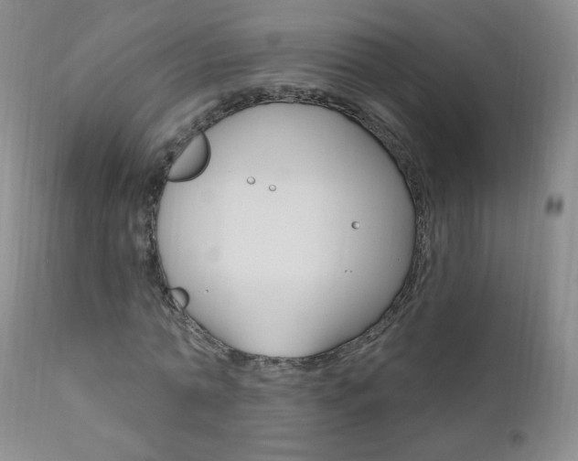 X0000111020774200906191229