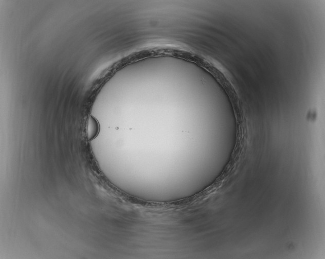 X0000111020775200906191229