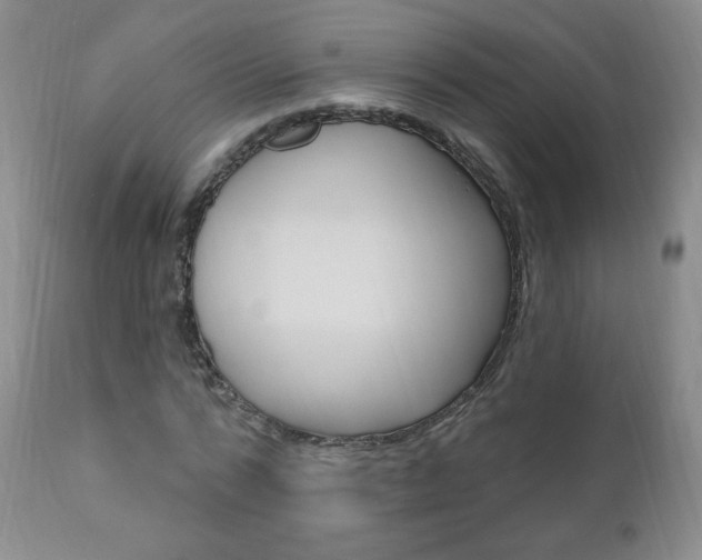 X0000111020776200906191229