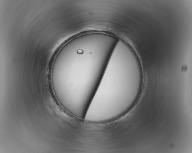 X0000111020779200906191229