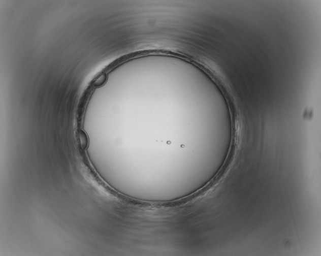 X0000111020780200906191229