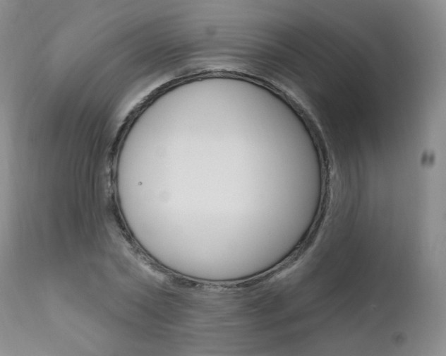 X0000111020782200906191229
