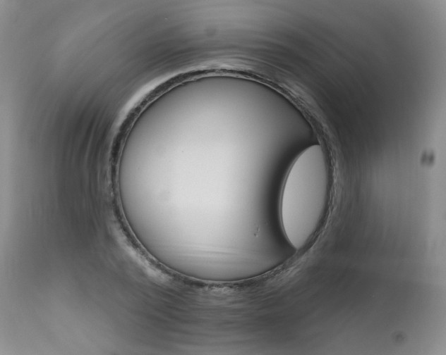 X0000111020784200906191229