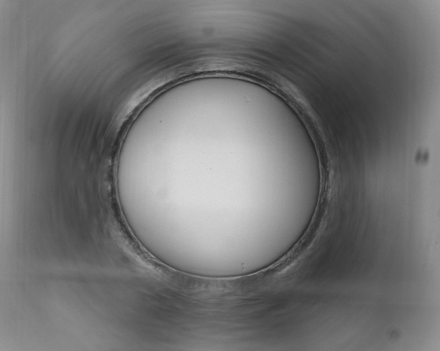 X0000111020786200906191229