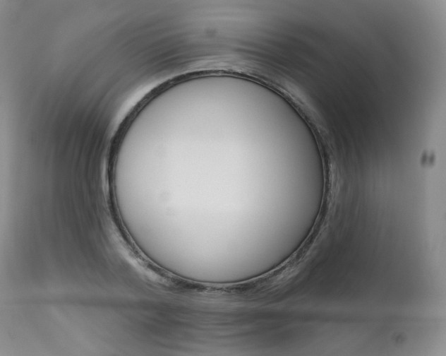 X0000111020788200906191229