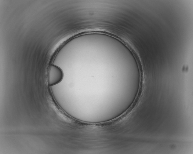 X0000111020789200906191229