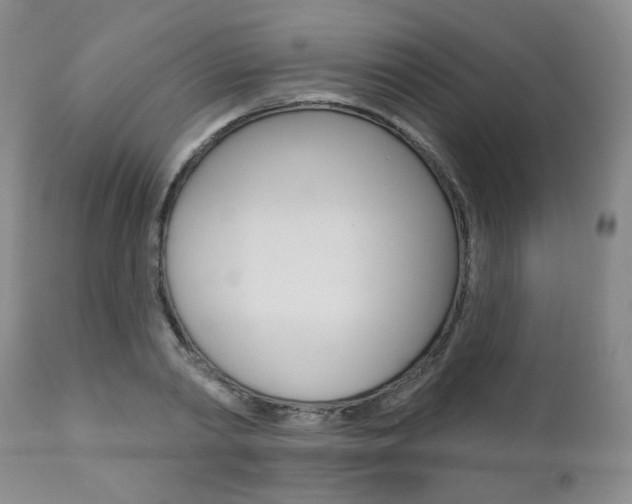 X0000111020790200906191229