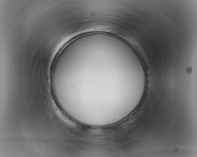 X0000111020792200906191229