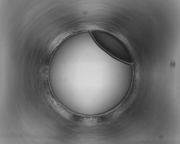 X0000111020793200906191229