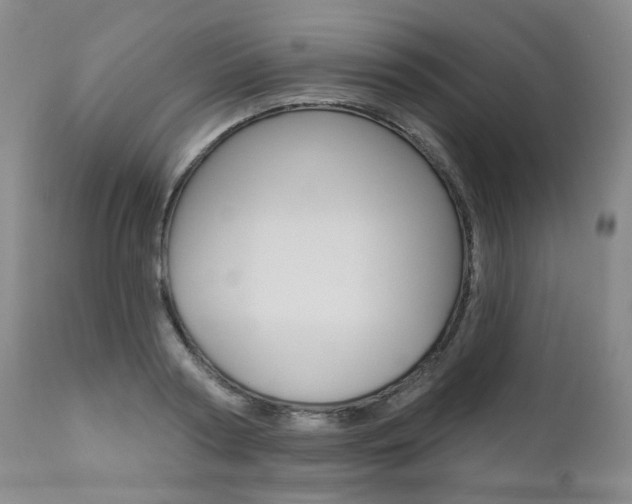 X0000111020794200906191229