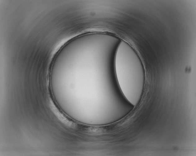 X0000111020795200906191229