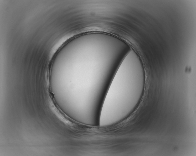 X0000111020796200906191229