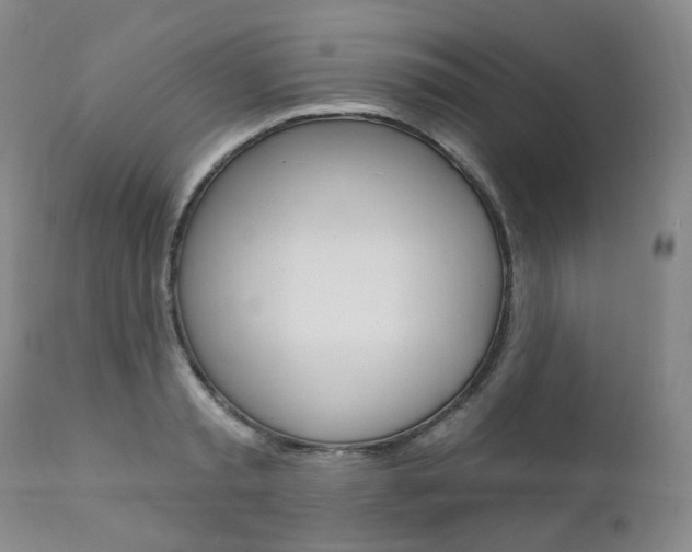 X0000111020797200906191229