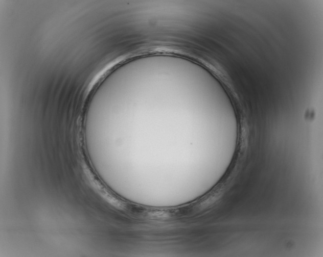 X0000111020798200906191229