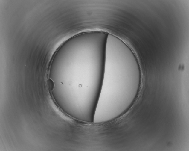 X0000111020805200906191229