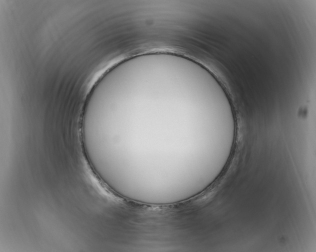 X0000111020806200906191229
