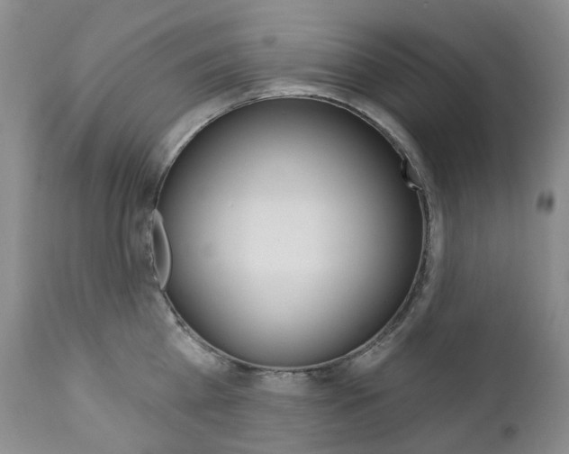 X0000111020809200906191229