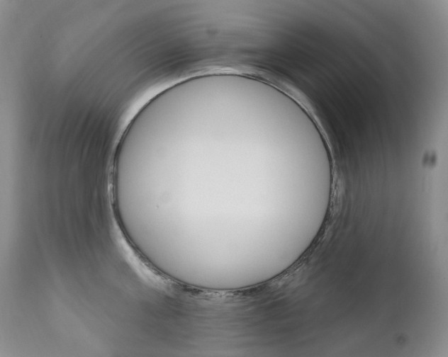 X0000111020811200906191229