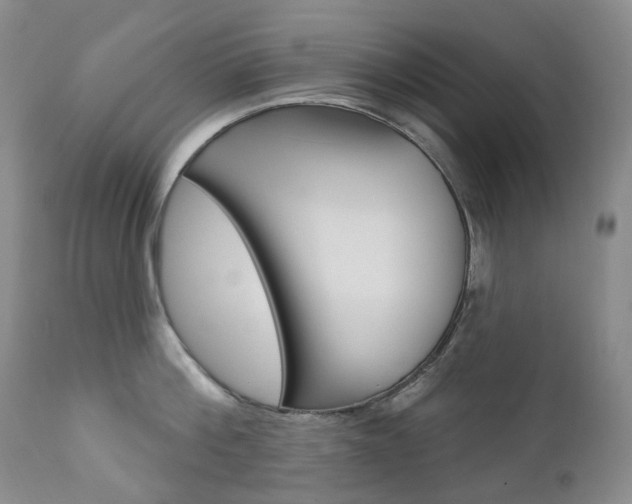 X0000111020812200906191229