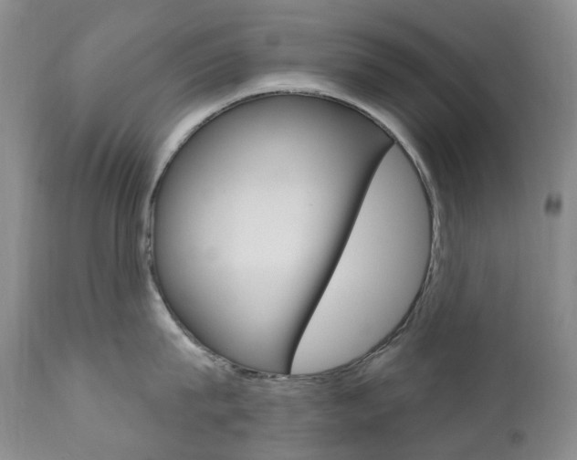 X0000111020815200906191229