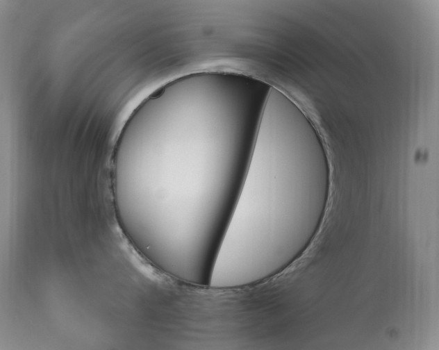 X0000111020816200906191229