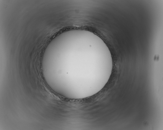 X0000111020817200906191228