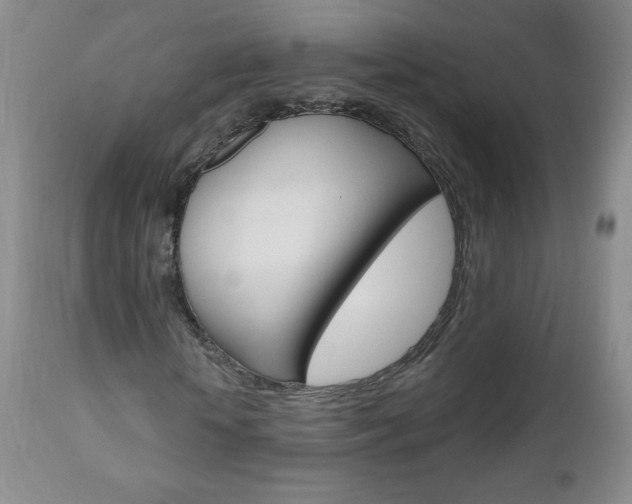 X0000111020818200906191228