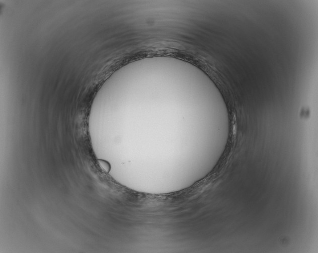 X0000111020819200906191228