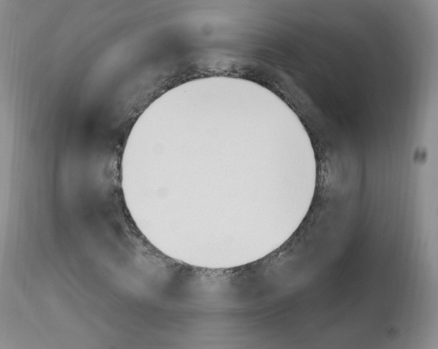 X0000111020820200906191228