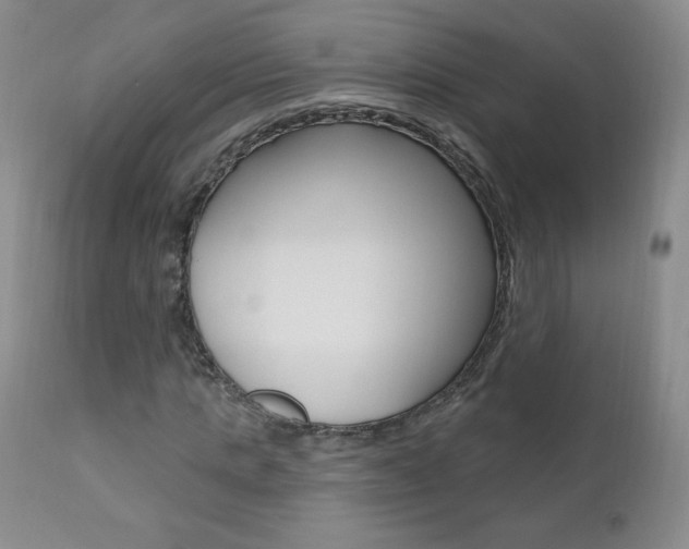 X0000111020821200906191228