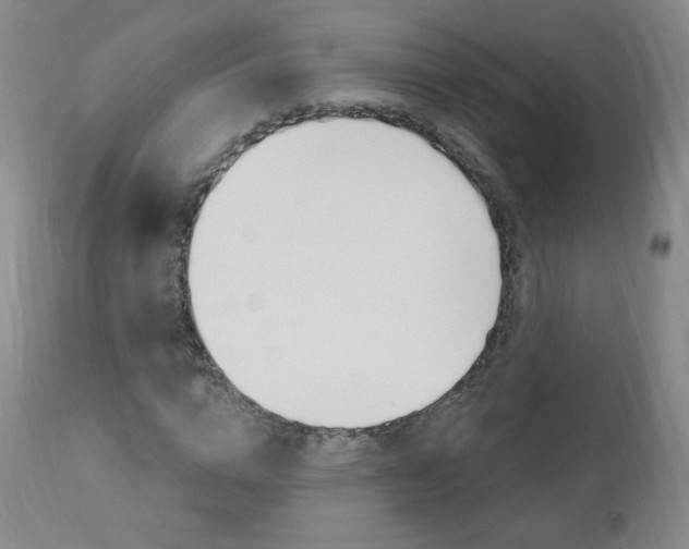 X0000111020824200906191228