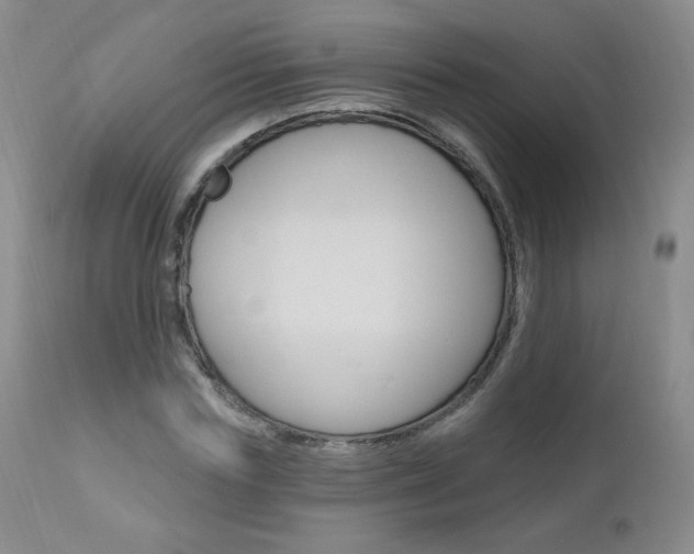 X0000111020827200906191228
