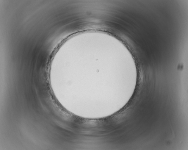 X0000111020828200906191228