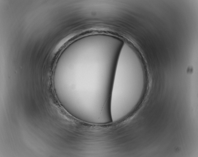 X0000111020829200906191228