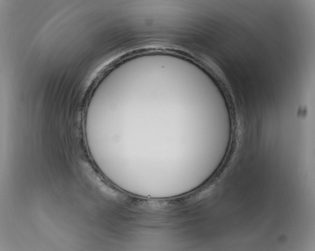 X0000111020831200906191228