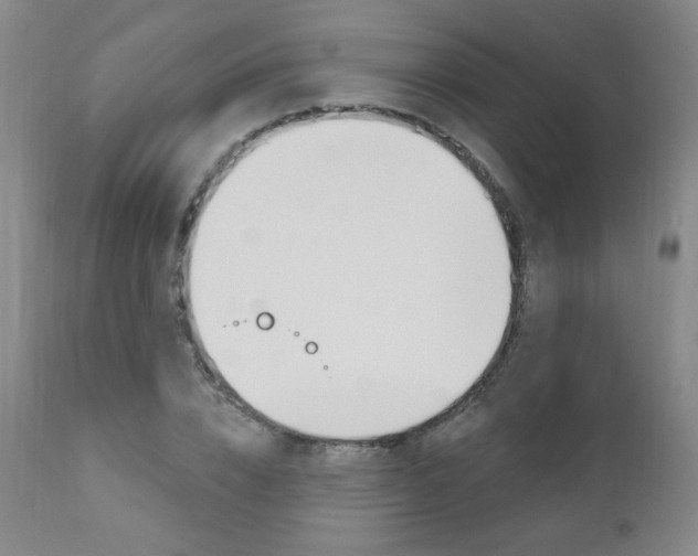 X0000111020832200906191228