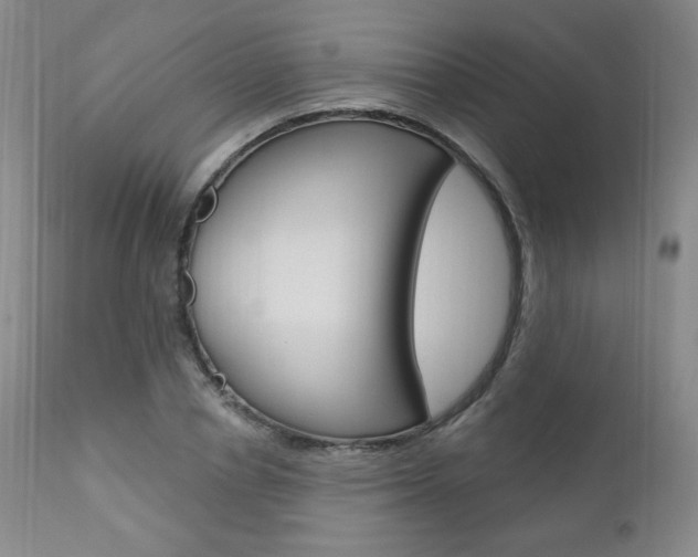 X0000111020834200906191228