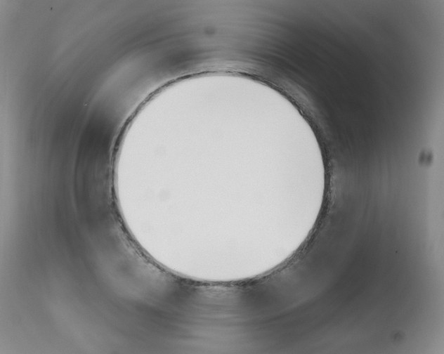 X0000111020836200906191228